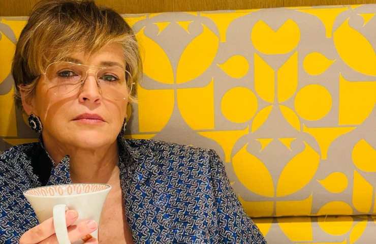 Sharon Stone ictus persi 18 miliardi dollari