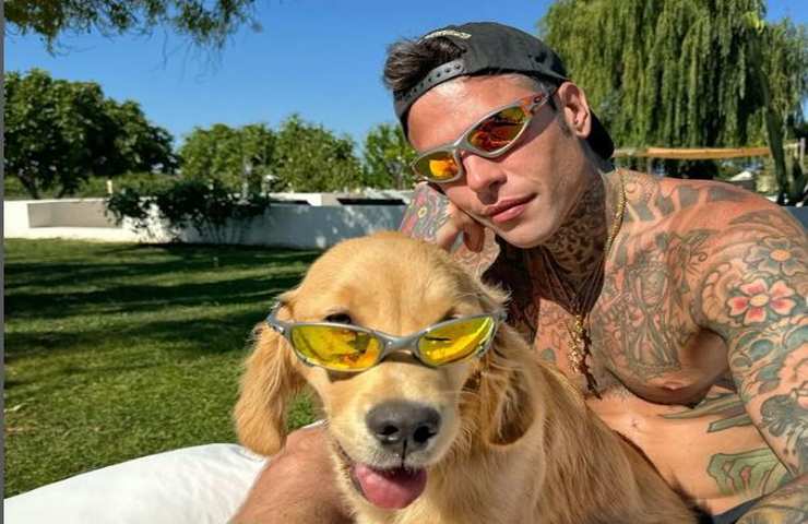 fedez 